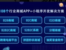 成都系統開發公司